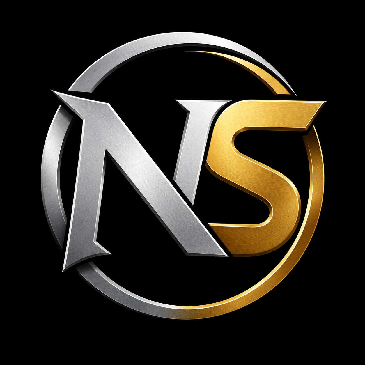 NS Logo